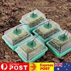 Germination Box Perforated Seed Grow Planter Box For Greenhouse (12 Green)