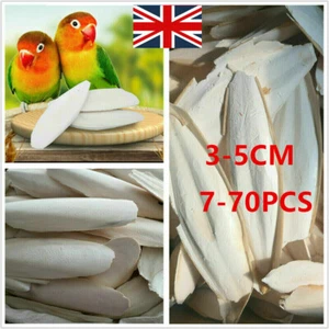 7-70X NEW Cuttlebone Cuttlefish Bone Sepia Cuttle Fish Pet Bird Food Calcium UK - Picture 1 of 14