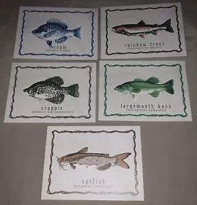 Phins biglietti vuoti assortiti pesce con buste set di 10 bassi orata - Foto 1 di 4