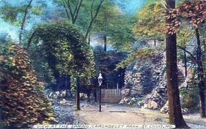 St. Louis Missouri View at the Spring Carondelet Park Postcard - Picture 1 of 2