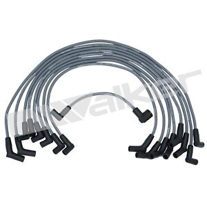 Ford, Lincoln, Mercury Wire Set, 8MM 8-CYL