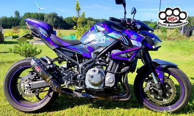 Kawasaki Z900 Z900 2017-2024 race rails engine guard crash bars + subcage BSA - Image 1 of 4