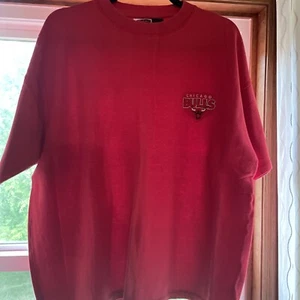 Vintage Chicago Bulls Tshirt Embroidered Pro Edge Sz XL - Bild 1 von 4