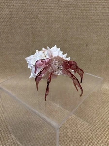 Pink Art Glass Sea-Life Sculpture Hermit Crab Genuine Murex Shell 4” Beach - Picture 1 of 9