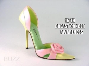 Steadfast Rose 16th Breast Cancer Aware Pink Ribbon Miracle Just the Right Shoe - Bild 1 von 2