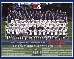 2018 NEW ENGLAND PATRIOTS SUPER BOWL 53 LIII CHAMPIONS 8X10 TEAM PHOTO PICTURE - Picture 1 of 1