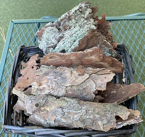 Fresh Pine Tree Bark Pieces 12 Oz For Terrariums Vivariums Craft Supplies - Picture 1 of 2
