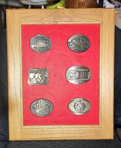 Vintage Collection Of 12 KG&E Belt Buckles Inc Wolf Creek Nuclear Plant - Picture 1 of 15