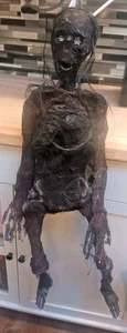Halloween Burnt Mummy Corpse Skeleton Realistic Jointed 32" Tall Scary - Picture 1 of 11