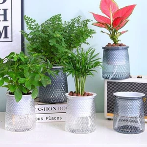 Visible Water Level Plant Pot Self Watering Hydroponic Planter Flower Pot - Picture 1 of 10