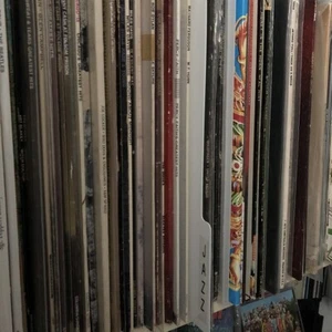 White Record Dividers for 12" Vinyl Record Collections 15 | 20 | 25 - Picture 1 of 4