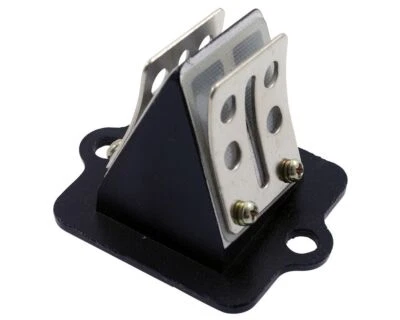 Membranblock Racing, kompatibel für Piaggio Zip,NTT,Sfera NSL/RST,TPH,Vespa ET2 - Bild 1 von 2