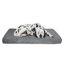 Memory Foam XL Dog Bed 2-Layer Orthopedic Dog Bed Washable Cover  46 x 27