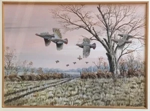 Framed Watercolor - PARTRIDGE IN FLIGHT - Mark Chester, English Wild-Life Artist - Picture 1 of 2