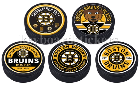 Boston Bruins 3D Textured "Raised Letters" 5 Hockey Puck PKG - Established 1924 Cover