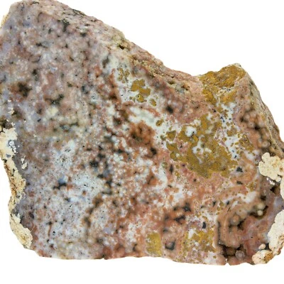 Ocean Jasper, slab, Madagascar, cabbing rough, #R-6608 - Image 1 of 4