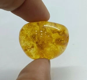 Natural Amber Cabochon Amber Gemstone Fancy Shaped Loose Gemstone For Jewelry - Picture 1 of 4