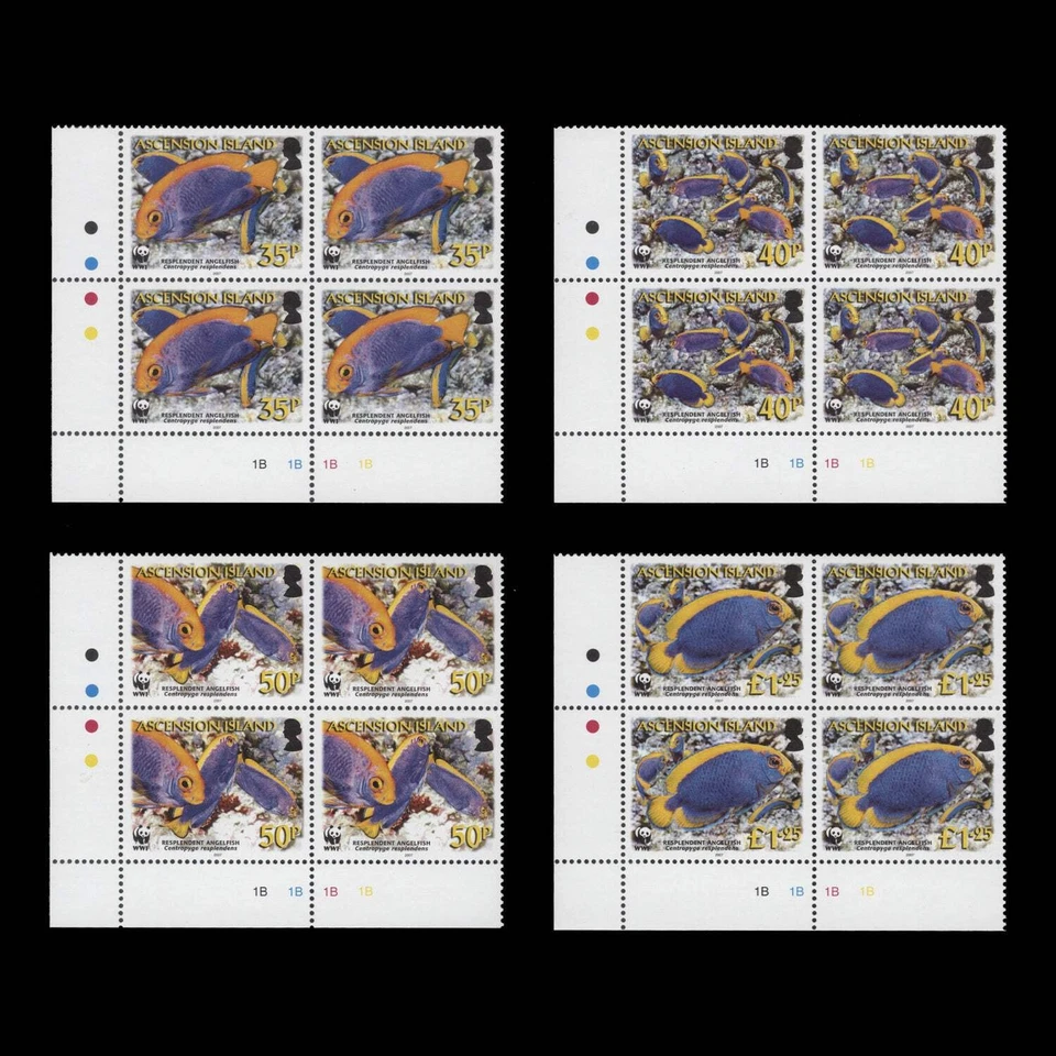 Bloques de semáforo/placa Resplandeciente pez ángel Ascension 2007 (MNH) Foto 1 de 1