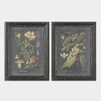uttermost framed whispering botanicals