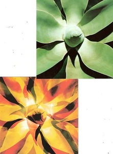 Depeche Mode - Exciter + Dream on 2x (2001) UK PROMO Cards - Imagen 1 de 2
