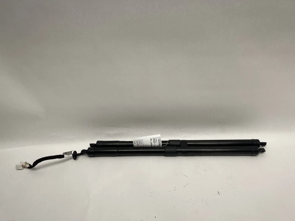 2009-2020 HONDA PILOT REAR RIGHT & LEFT SIDE TAILGATE TRUNK LIFT SHOCK STRUT OEM Foto 1 de 4