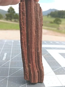 Expositor de cuarzo corteza ondulada rama madera petrificada sur de Utah 4 1/4" x 1 1/4" x 3/4" - Imagen 1 de 19