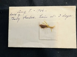 Three Day Old Infant Hair Baby Forbes 1906 Keepsake Lock Envelope Remembrance - Picture 1 of 4