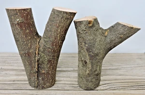 2 Apple Wood Stick Log Chunk Carving Blank Craft Decor Forked Crotch 2"D 5~6"L - Picture 1 of 11