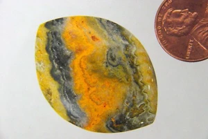 Butw Impresionante Indonesia Abejorro Jaspe Forma Libre Cabujón Lapidarium 4835P - Imagen 1 de 1