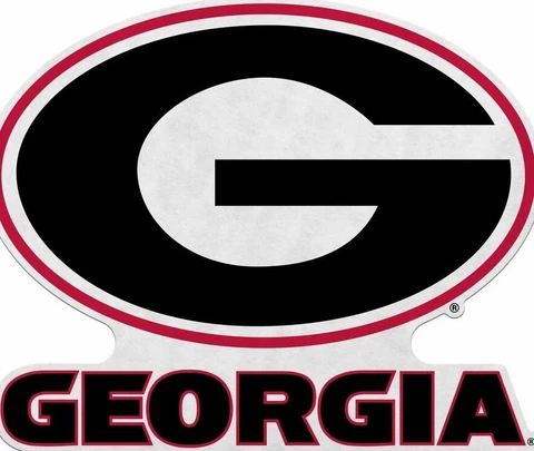 Georgia Bulldogs 18" Primary Logo Pennant Soft Felt Cover