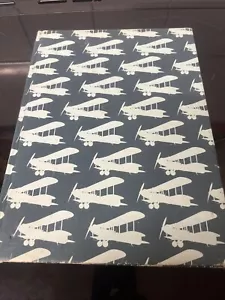 Illustrierte Geschichte des Flugzeugs Hardcover Buch Illustration Brendan Gallagher - Bild 1 von 15