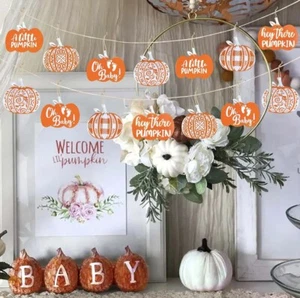 Little Pumpkin Oh Baby Hanging Sign Acrylic Ornament Banner For Baby Shower NEW - Picture 1 of 8