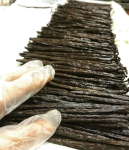 Gourmet Extract Grade B Madagascar Vanilla Beans - Shop by Pounds - Picture 1 of 8
