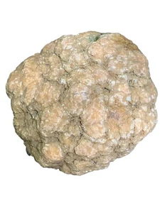 Bogo! Medium Break Your Own Geode - ungeöffnet - SouthernIndiana Calcite Crystals - Bild 1 von 8