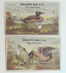 2 zwei Vintage viktorianische Sammelkarten Darlington Runk & C0 Philadelphia Ente Frosch C9 - Bild 1 von 2