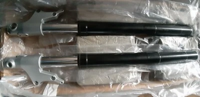 40505475BG FORCELLE MARZOCCHI  - Imagen 1 de 4