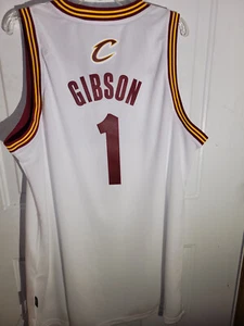 Adidas Swingman NBA Jersey Cavaliers Daniel Gibson White sz XL - Picture 1 of 4