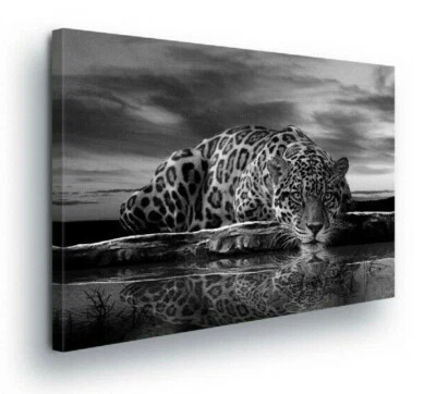 TIGER TIERE KATZE Wandbilder Schwarz weiß Leinwand Bilder Canvas Wohnzimmer 25 - Bild 1 von 4