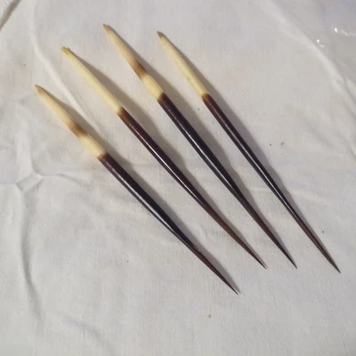 Stachelschweinborsten Stachelschweinstacheln 15 cm lang aus Afrika  (RG) - Bild 1 von 4