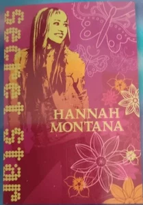 Hannah Montana Secret Star 24” x 36” Window Poster #603 *New* UNOPENED! - Picture 1 of 4