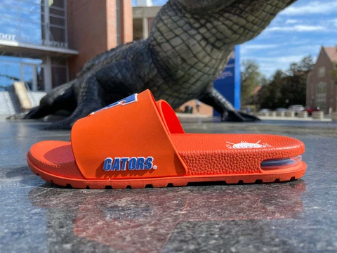 UNIVERSITY OF FLORIDA AIR 'FAST F' SLIDES Cover