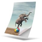 1 x Vinyl Sticker A5 - Circus Elephant Surrealism Art #14893