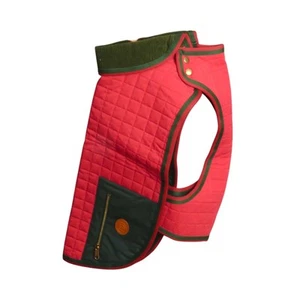 GUCCI- Abrigo acolchado para perro 2023 nuevo con etiquetas, talla grande - Imagen 1 de 3