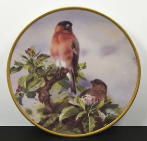 Davenport Porcelain ~ The Bullfinch ~ Thorburn's Garden Birds 6" Inch Plaque - Picture 1 of 3