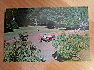 Escena de picnic vintage sin publicar Vacationland L.L. Postal de Cook Co. Wisconsin - Imagen 1 de 2