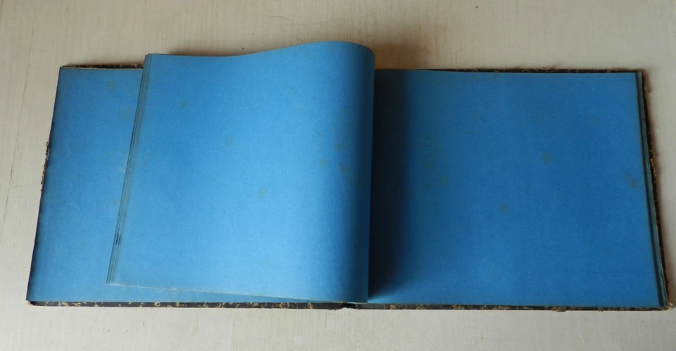 Pour Herbier XIXe * Ancien Livret Catalogue pour Séchage de Plantes - Photo 1/4