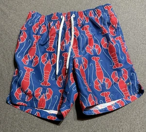 Medium Tommy Hilfiger Herren Badehose M Rot Blau Hummer - Bild 1 von 7