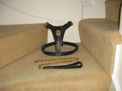 BLACK PADDED LEATHER DOG HARNESS FOR STAFFY WITH LEAD BRAND NEW - Image 1 of 4