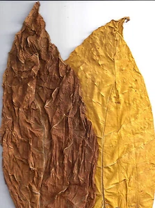 Tabakblätter ''Virginia & DAC/AB"  Mix 50/50 Premium Qualität Tabak 1Kg - Bild 1 von 2