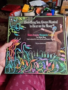 EVERYTHING YOU ALWAYS WANTED TO HEAR ON THE MOOG ANDREW KAZDIN & THOMAS Z.SHEPAR - Picture 1 of 1